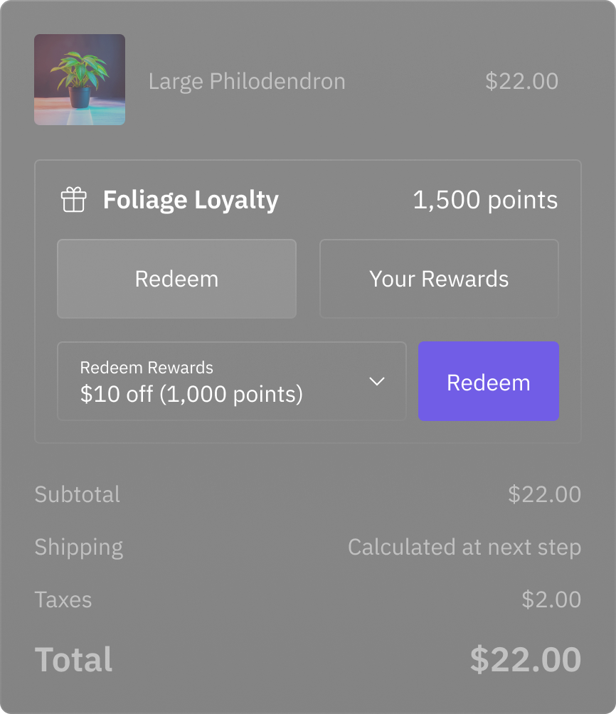 Checkout Extension