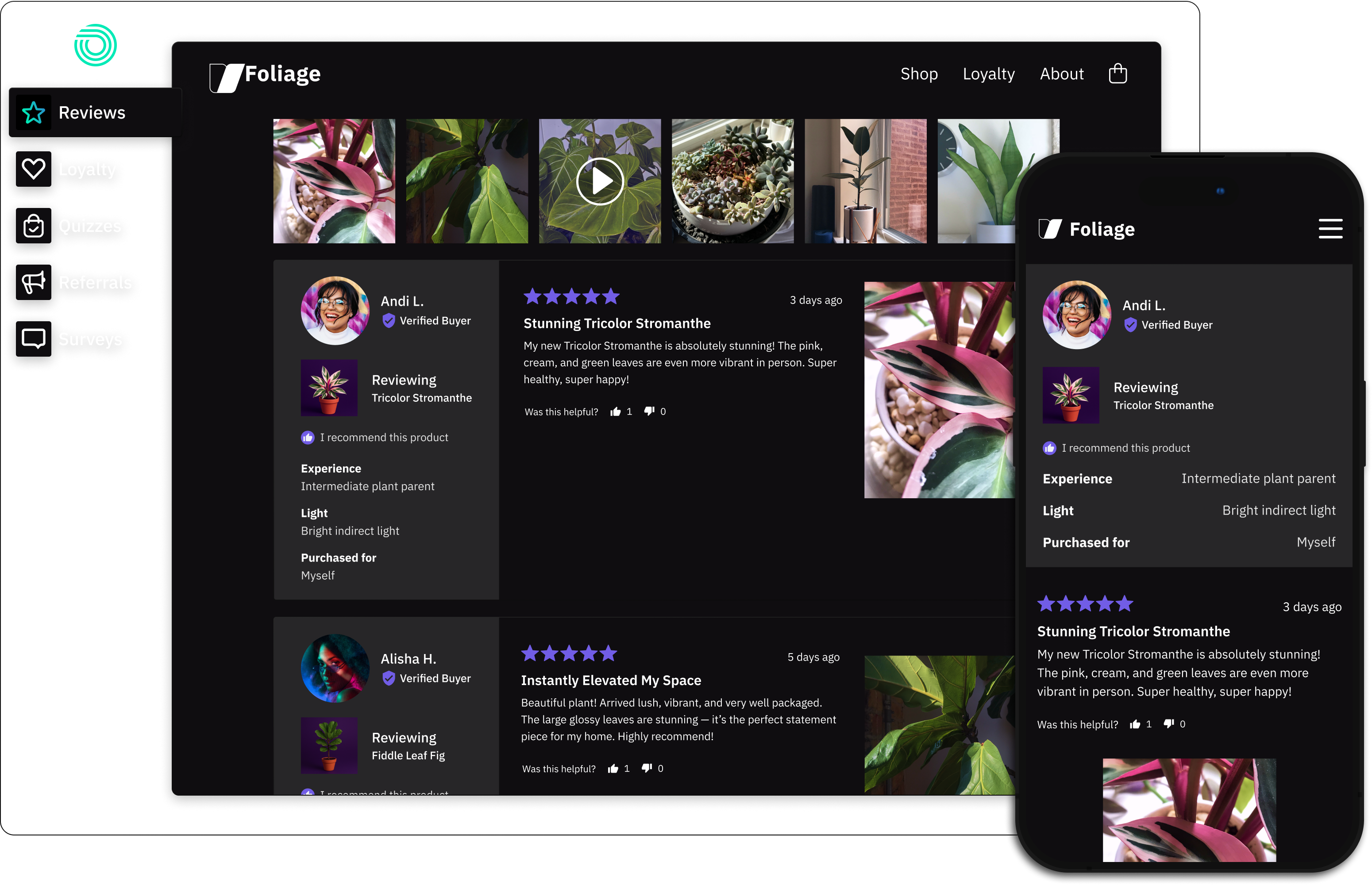 Reviews