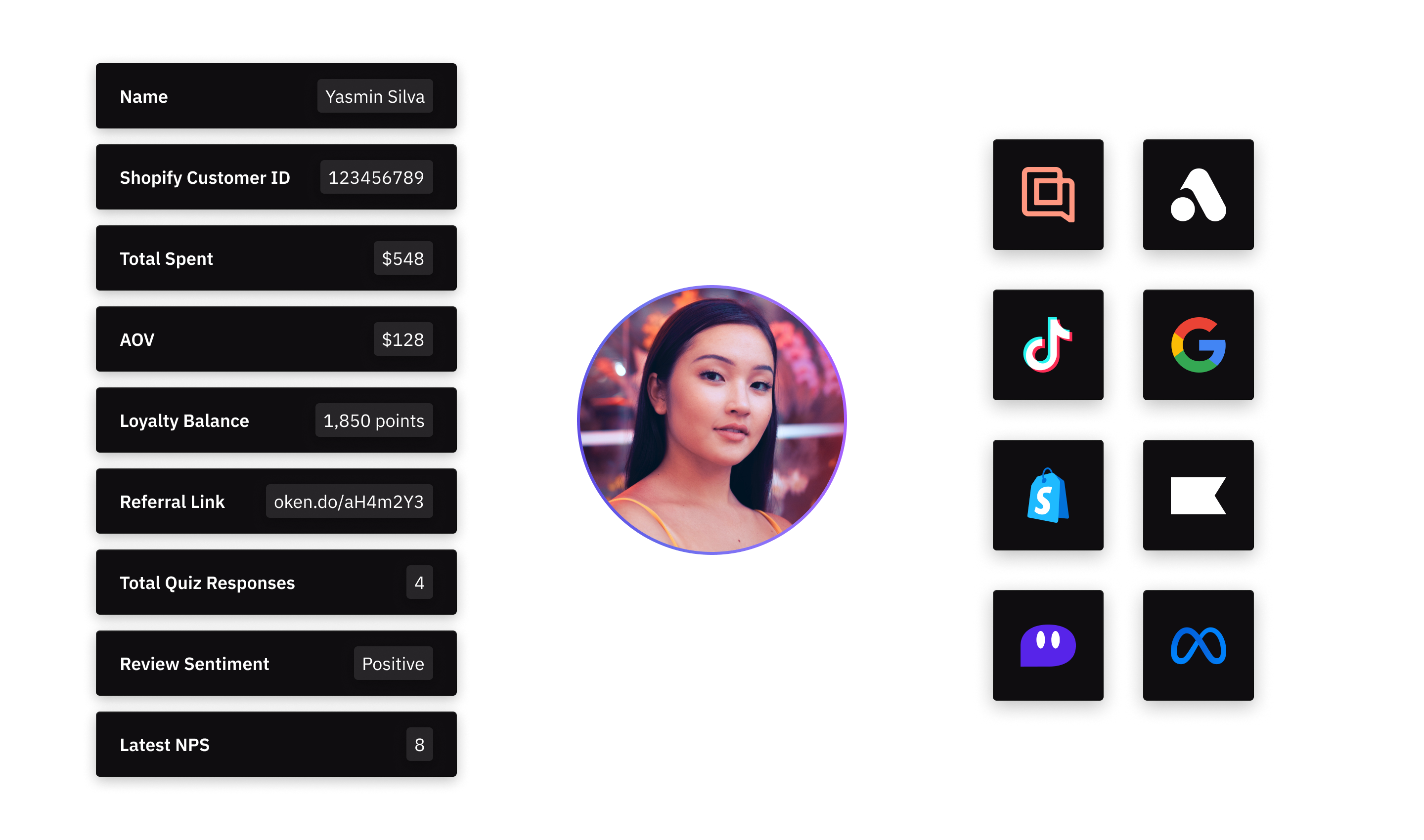 Customer Data Profile Graphic