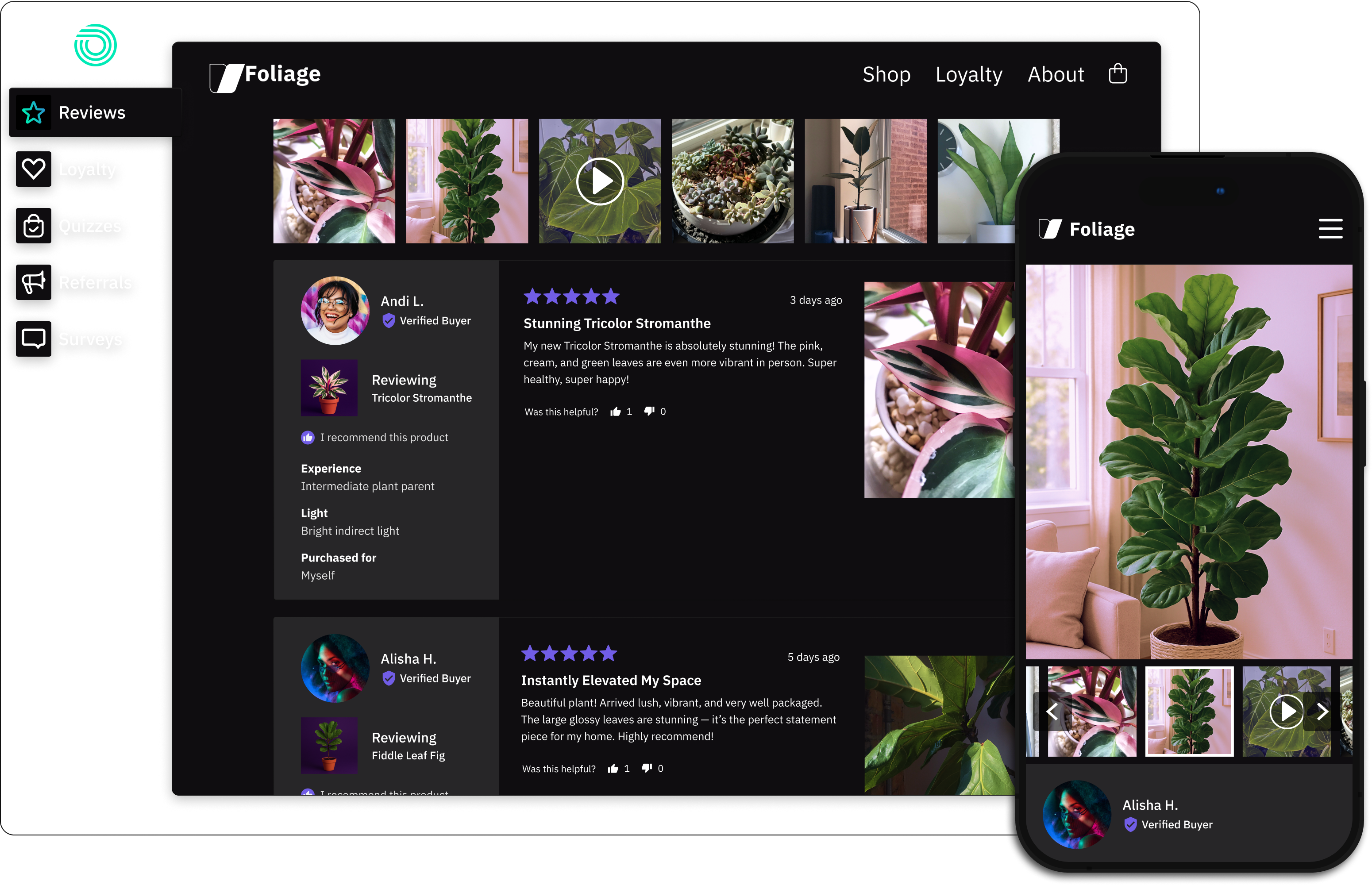 Reviews
